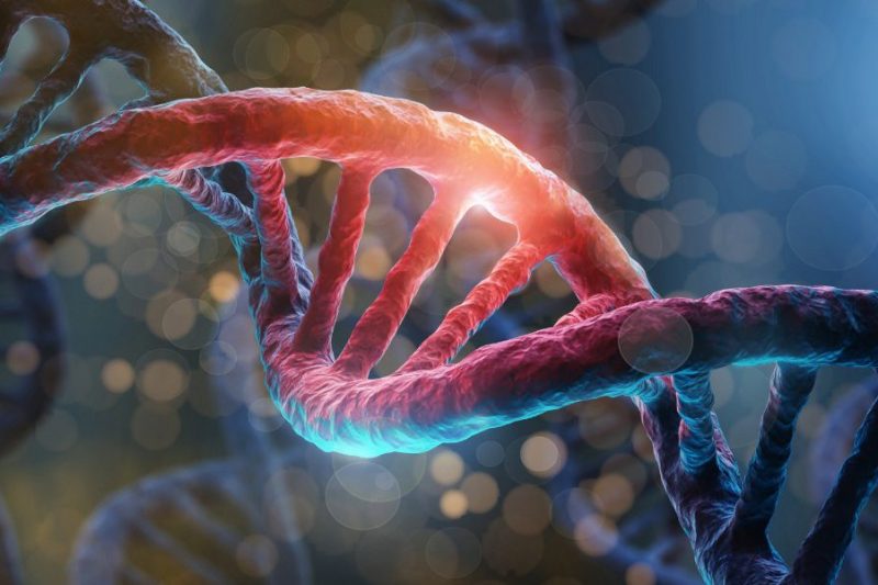 La clase como arquitecta invisible de la biología humana